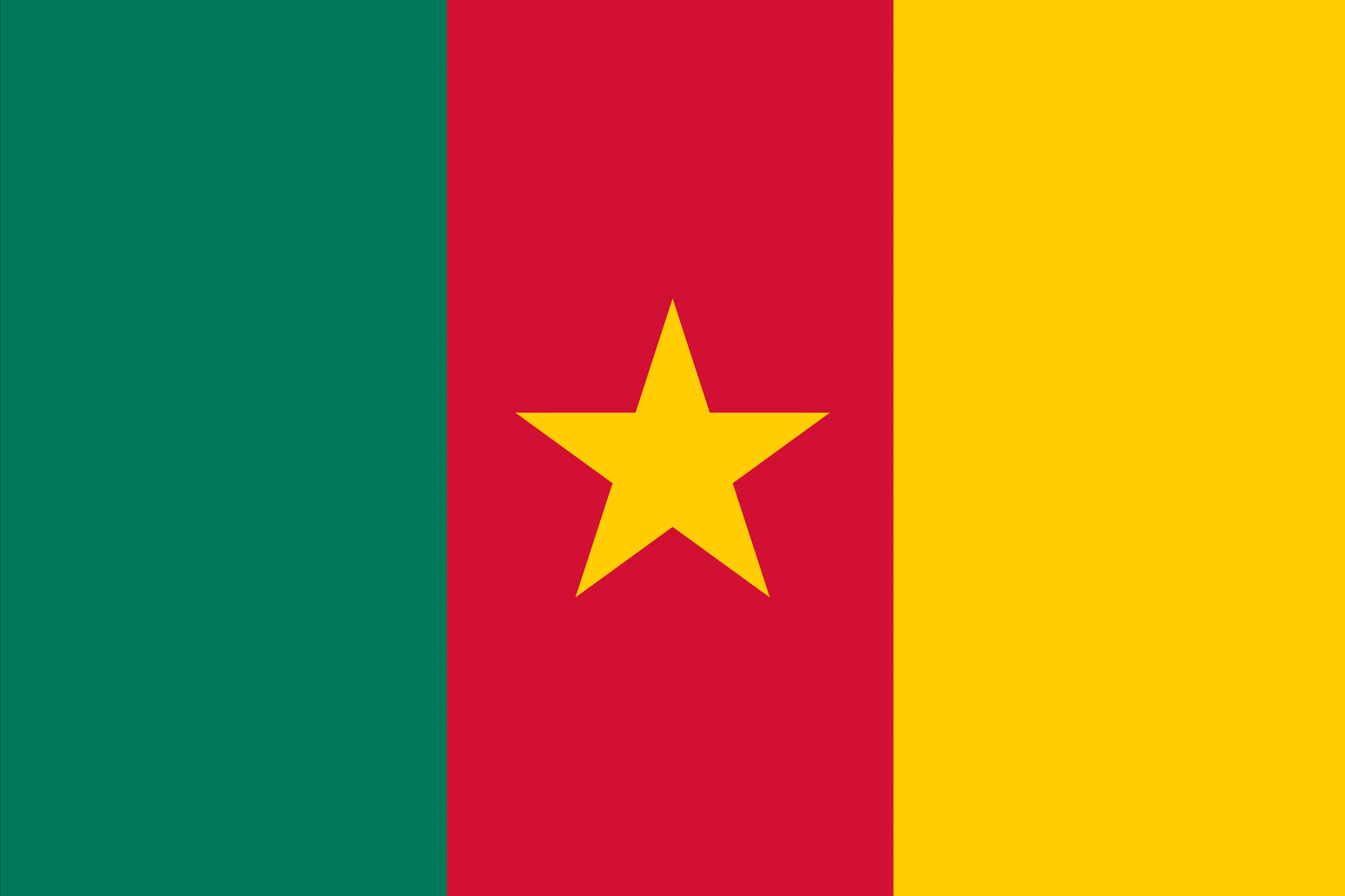 Republic of Cameroon Flag