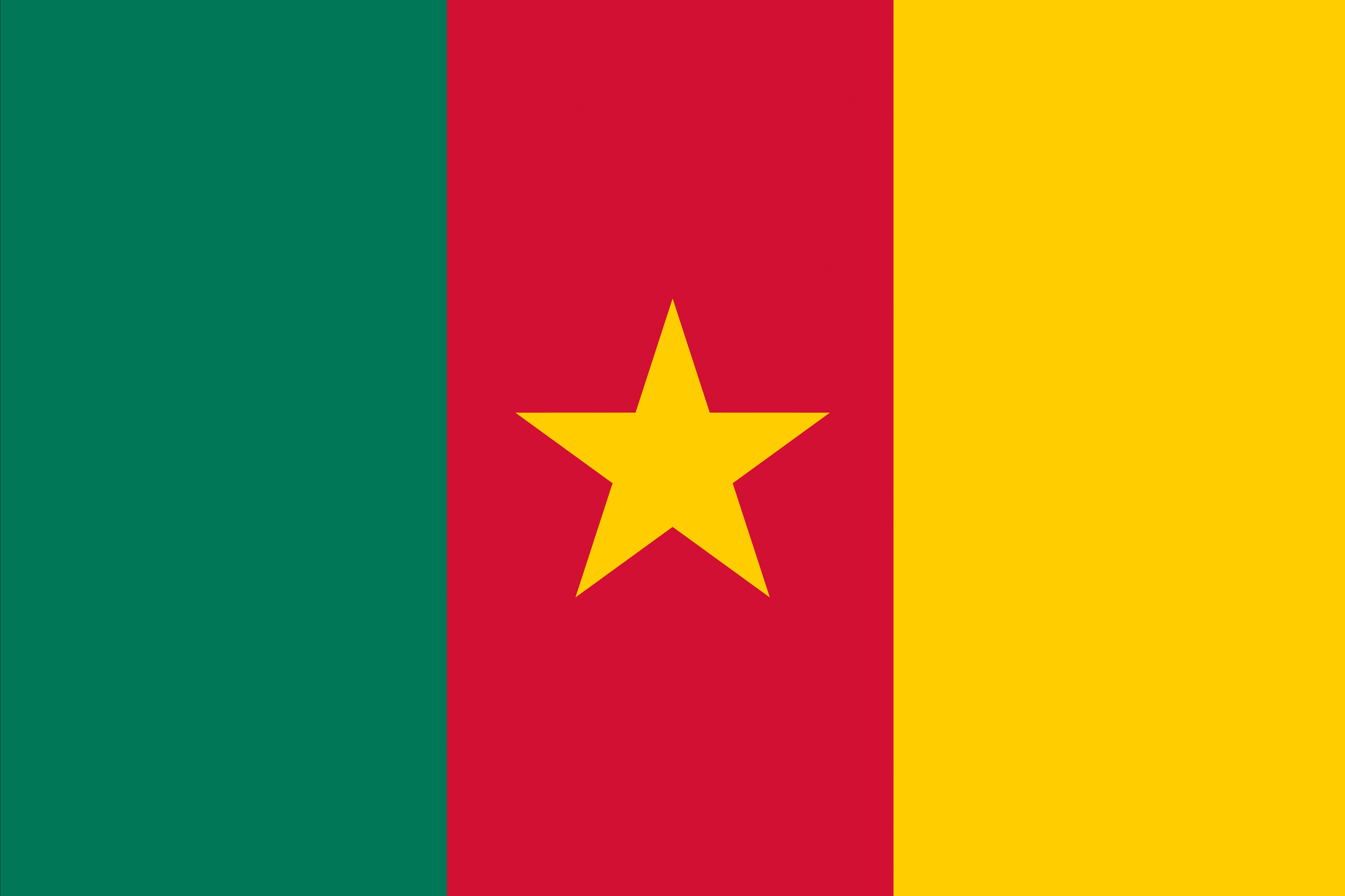 Republic of Cameroon Flag